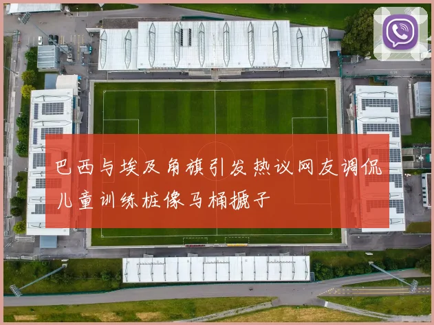 巴西与埃及角旗引发热议网友调侃儿童训练桩像马桶搋子