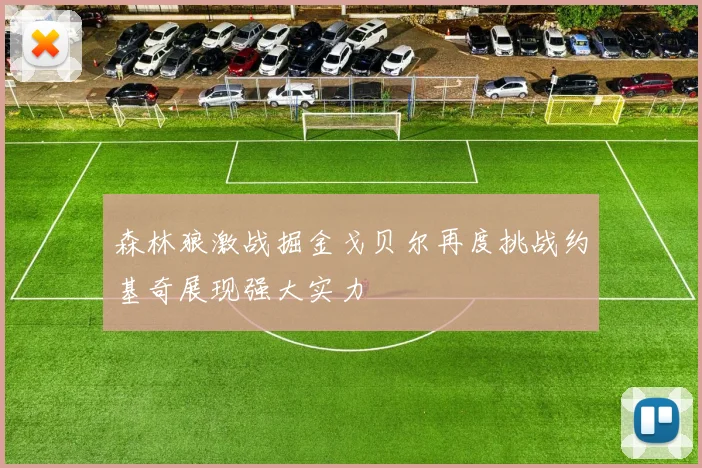 森林狼激战掘金戈贝尔再度挑战约基奇展现强大实力